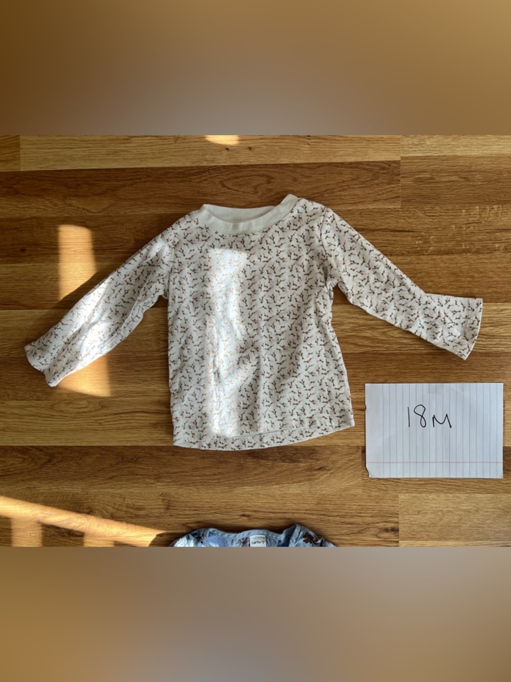 18m cream Floral Long-Sleeve Top